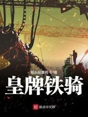 皇牌龙骑新笔阁