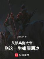 朕这一生如履薄冰
