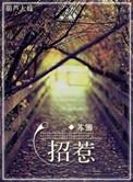 招惹的意思