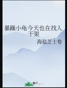 暴躁小龟今天也在找人干架海盐芝士卷