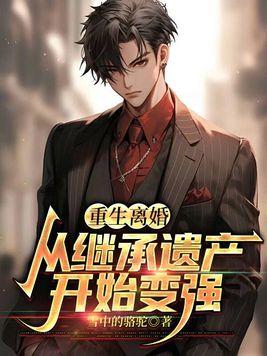 书名离婚后继承了亿万家产