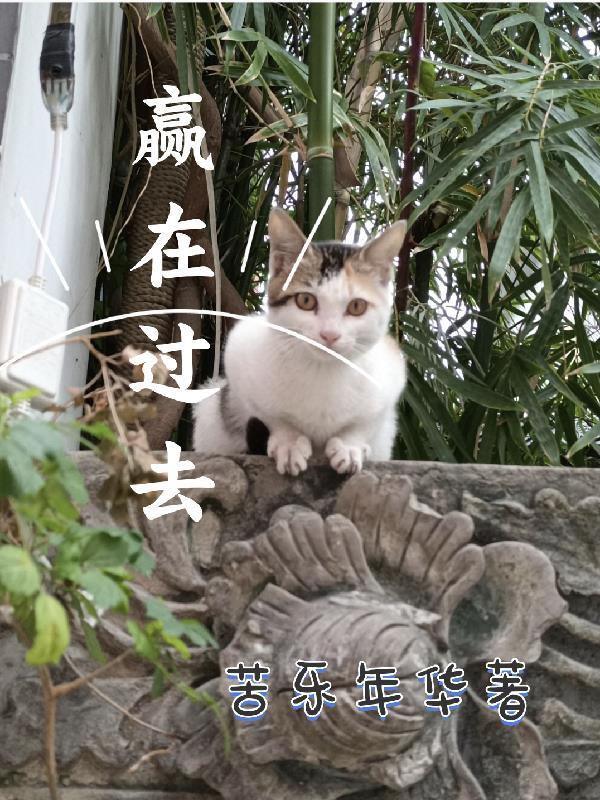 赢在其中
