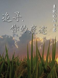 追寻你的足迹作文700