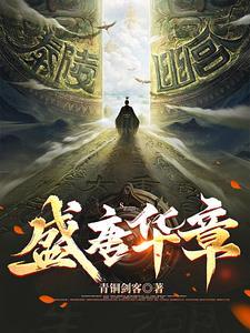 盛唐华章txt