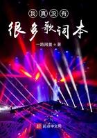 我真的没有没有没有是什么歌的歌词