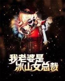 我老婆是冰山女总裁改编第一