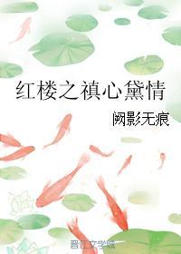 红楼之禛点黛