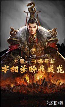 大唐宰相系统