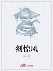 剑惊风雨是什么意思