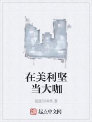 我在美利坚当